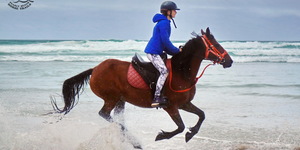 Gansbaai & Pearly Beach Horse Trails
