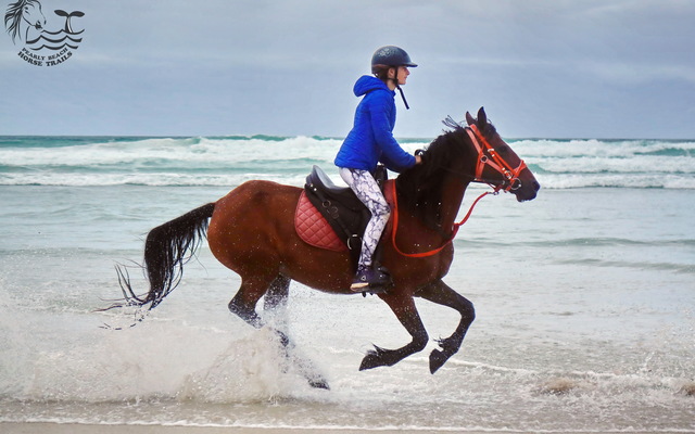 Gansbaai & Pearly Beach Horse Trails