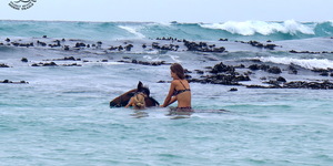 Gansbaai & Pearly Beach Horse Trails
