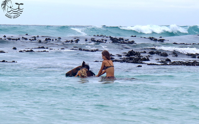 Gansbaai & Pearly Beach Horse Trails