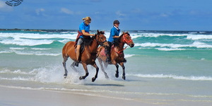 Gansbaai & Pearly Beach Horse Trails