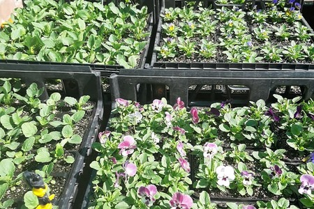 164609742_272931644482028_354436407155571575_n_1616670532