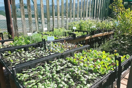 165008844_272931551148704_9185926457468765666_n_1_1616670531