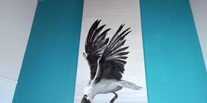 166338101_10160815438162598_2551442905426356496_o_1617008016