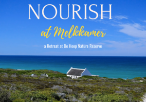 De Hoop Collectionâ€™s Nourish Retreat