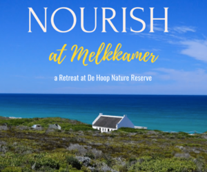 De Hoop Collectionâ€™s Nourish Retreat