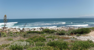 699 mÂ² Vacant Land For Sale in De Kelders - R1,720,000