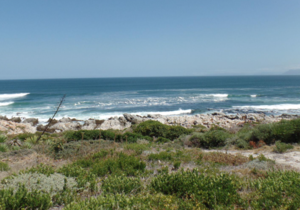 699 mÂ² Vacant Land For Sale in De Kelders - R1,720,000