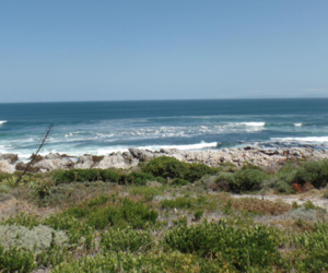 699 mÂ² Vacant Land For Sale in De Kelders - R1,720,000