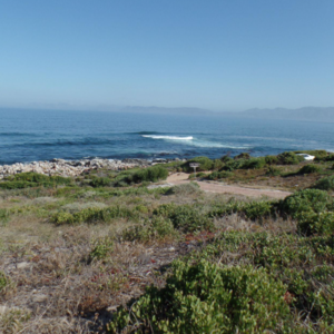 property_image_3_1617110236