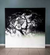 Sun Sea and Soul Exhibition: Open 7 Days a Week