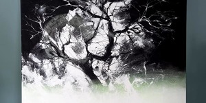 167604338_10160823614597598_7605204678969060953_n_1617194093