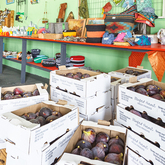 Interior - Synergy Market - Xplorioâ„¢ Gansbaai