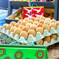 Free-range Eggs - Synergy Market - Xplorioâ„¢ Gansbaai