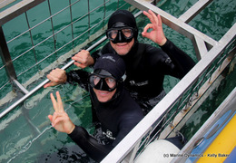 Daily Blog: 05 April 2021 | Shark Cage Diving in South Africa