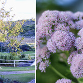Beautiful Garden - Bodhi Khaya Nature Retreat - Xplorioâ„¢ Gansbaai