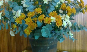 Die droefheid van die dissipels