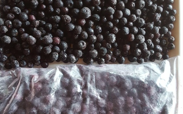 Frozen_Blueberries_1618215283