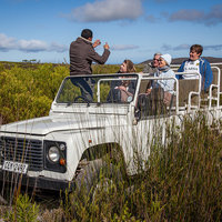 4X4 Routes - Walker Bay Fynbos Conservancy - Xplorioâ„¢ Gansbaai