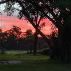 Autumn Sunset - Beloftebos Farm Cottages - Xplorioâ„¢ Stanford Autumn Sunset - Beloftebos Farm Cottages - Xplorioâ„¢ Stanford