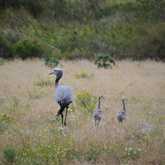 Walker Bay Fynbos Conservancy - Xplorioâ„¢ Gansbaai