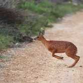 Walker Bay Fynbos Conservancy - Xplorioâ„¢ Gansbaai