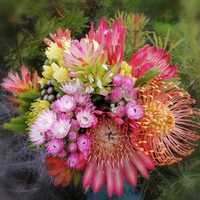 Flowers - Walker Bay Fynbos Conservancy - Xplorioâ„¢ Gansbaai