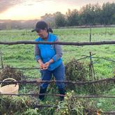 Sunrise - Beloftebos Farm Cottages - Xplorioâ„¢ Stanford