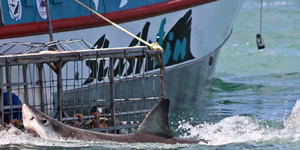 20141118_WW_Trip2_SHoerbst_IMG_0052_1530166311_1618914552