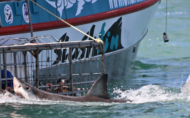 20141118_WW_Trip2_SHoerbst_IMG_0052_1530166311_1618914552