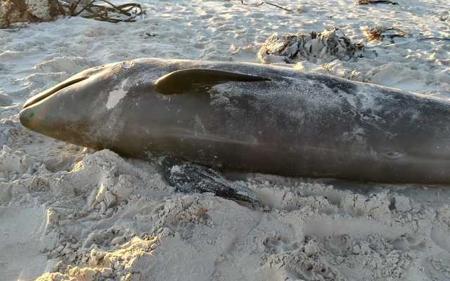 12a0f359_7b35_4747_88b0_f573a6580004_1618922863