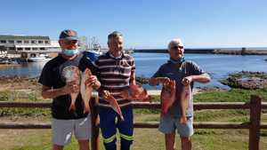 April Monthly Competition