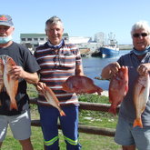 Robbie Nelson, Johan Burmeister and George Rowan (Nu Nu) with Silverfish and Red Roman - Birkenhead Boothengelklub - Xplorioâ„¢ Gansbaai