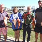 Ric Kuisis, Collen Kemm, Norman Kemm and Terry Terreblanche (At Work) with Jakopever, Hottentot and Silverfish - Birkenhead Boothengelklub - Xplorioâ„¢ Gansbaai