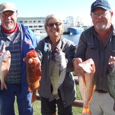 Deon van Staden, Kenny Owen en Anita Vermeulen with Jakopever, Hottentot and Silverfish - Birkenhead Boothengelklub - Xplorioâ„¢ Gansbaai