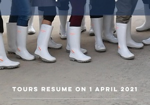 We are open once again!