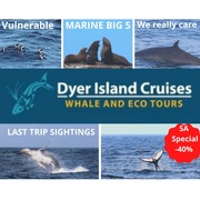 Next Dyer Island Marine Big 5 Tour: 24Â April 2021