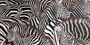 174261713_10160888906957598_3485238220157108611_n_1619178668