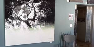 177341956_10160888906877598_916805024431007318_n_1619178667