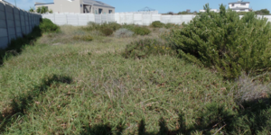 pam_golding_image_3_1619441570