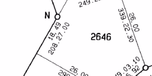 pam_golding_image_4_1619441571