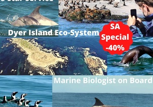 Next Dyer Island Marine Big 5 Tour: 28Â April 2021 (11h30)