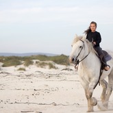 Beach Horse Riding - Horse Riding Gansbaai - Xplorioâ„¢ Gansbaai