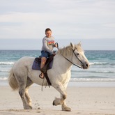 Beach Horse Riding - Horse Riding Gansbaai - Xplorioâ„¢ Gansbaai