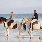Beach Horse Riding - Horse Riding Gansbaai - Xplorioâ„¢ Gansbaai