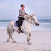 Beach Horse Riding - Horse Riding Gansbaai - Xplorioâ„¢ Gansbaai