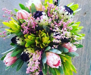 Proteas for Mother's Day