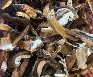 Porcini Mushroom Soup