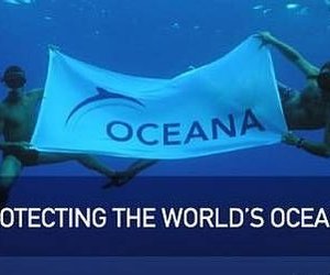 Tragedy Continues to Chile - Gansbaai Daily News