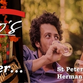 I wonder... what he's looking at? - Fabio's Ristorante - Xplorioâ„¢ Hermanus